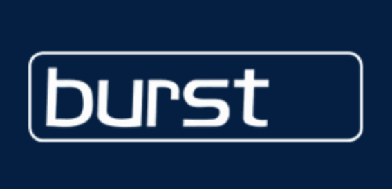 Burst Logo 